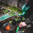 Les bienfaits du jardin thérapeutique