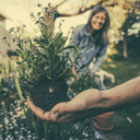 Des jardins à visée thérapeutique et inclusifs